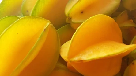 Warto kupić, gdy jest w sklepie. Doskonały dla cukrzyków i osobami z wysokim ciśnieniem. 