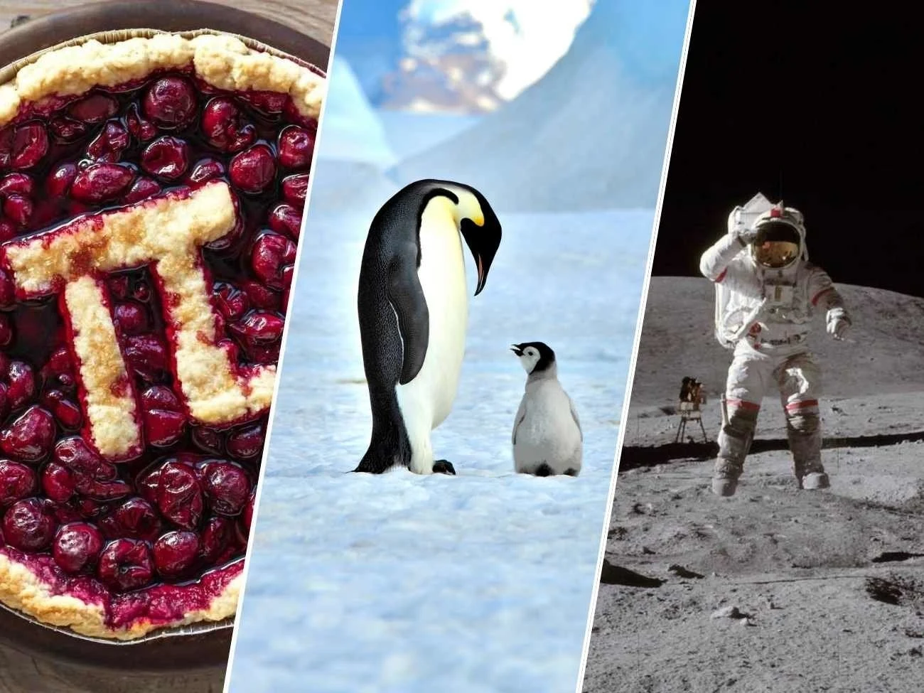 Szybki QUIZ: 10 pytań prawda-fałsz z wiedzy ogólnej! Podejmiesz wyzwanie? Szybki QUIZ: 10 pytań prawda-fałsz z wiedzy ogólnej! Podejmiesz wyzwanie?