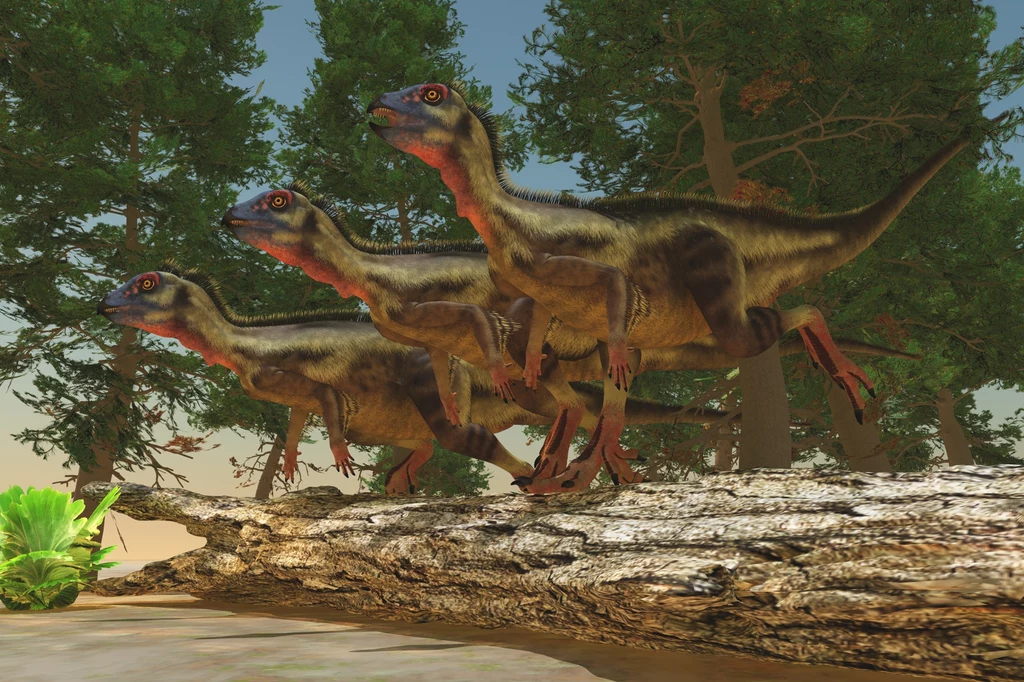 Hypsilofodony - małe ornitopody z epoki jury Trzy dinozaury biegną po pniu drzewa na tle bujnego lasu, przypominające scenę z prehistorycznego świata. Zielone liście i ogromne drzewa tworzą naturalne otoczenie dla tych stworzeń, które przemieszczają się dynamicznie.