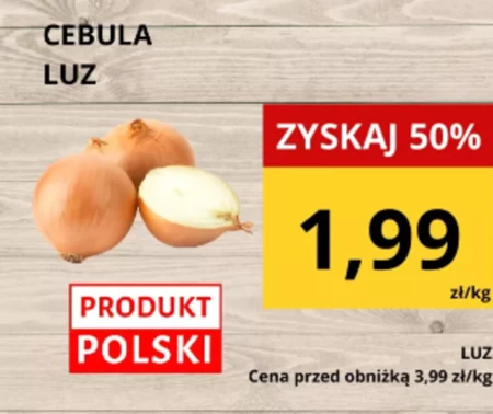 Cebula