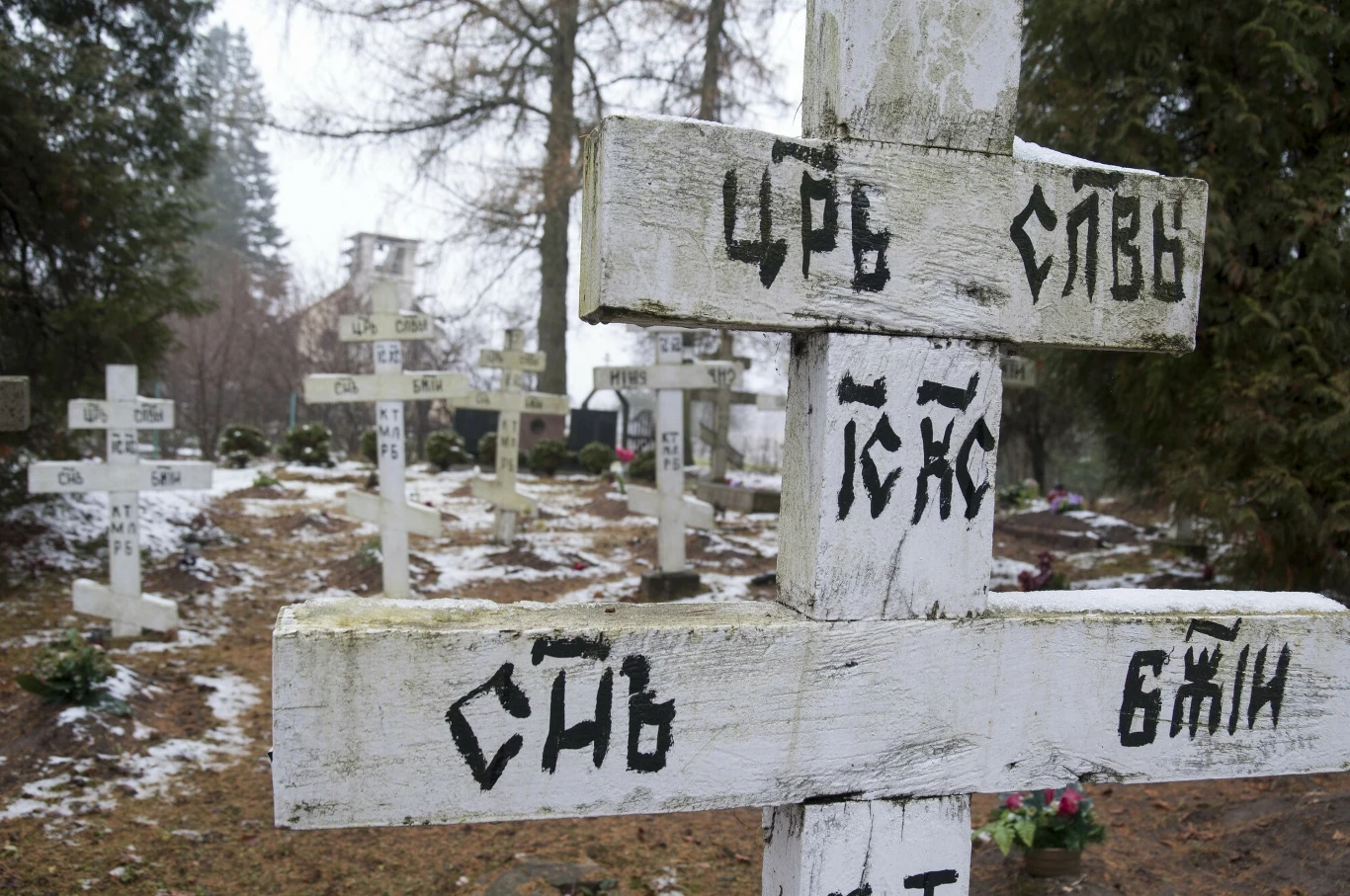 Drewniane, białe krzyże pokryte cyrylicznymi napisami stoją na zimowym cmentarzu otoczonym drzewami. Na ziemi leży cienka warstwa śniegu, a groby są udekorowane kwiatami i innymi drobnymi ozdobami.