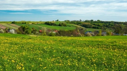 Poznaj malownicze Kraszczady. To wyjątkowe miejsce na aktywny wypoczynek