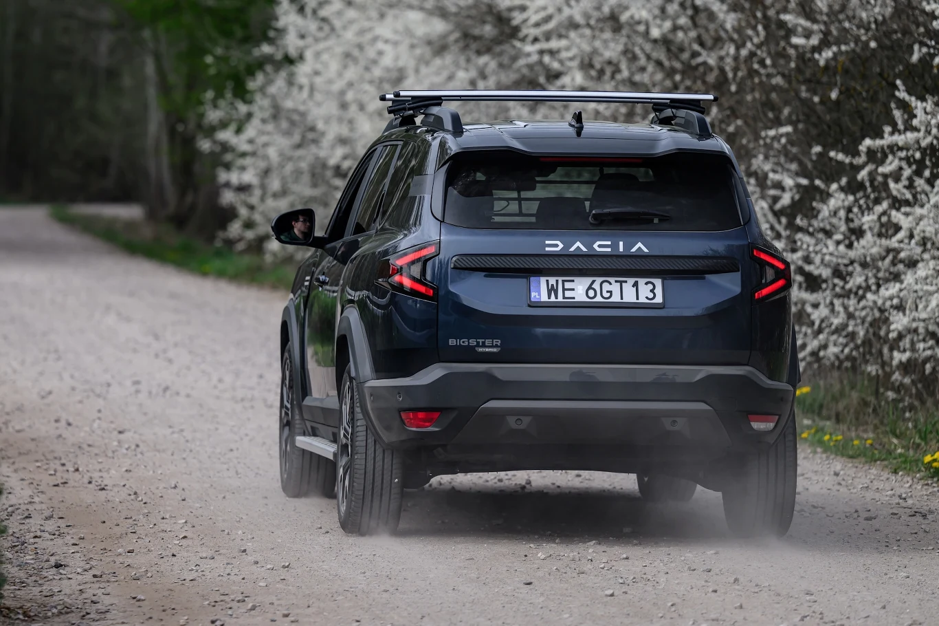 Samochód Dacia Duster na żwirowej drodze otoczonej krzewami z białymi kwiatami. Tył pojazdu dominuje na zdjęciu, widoczne są tablice rejestracyjne i charakterystyczne tylne światła.
