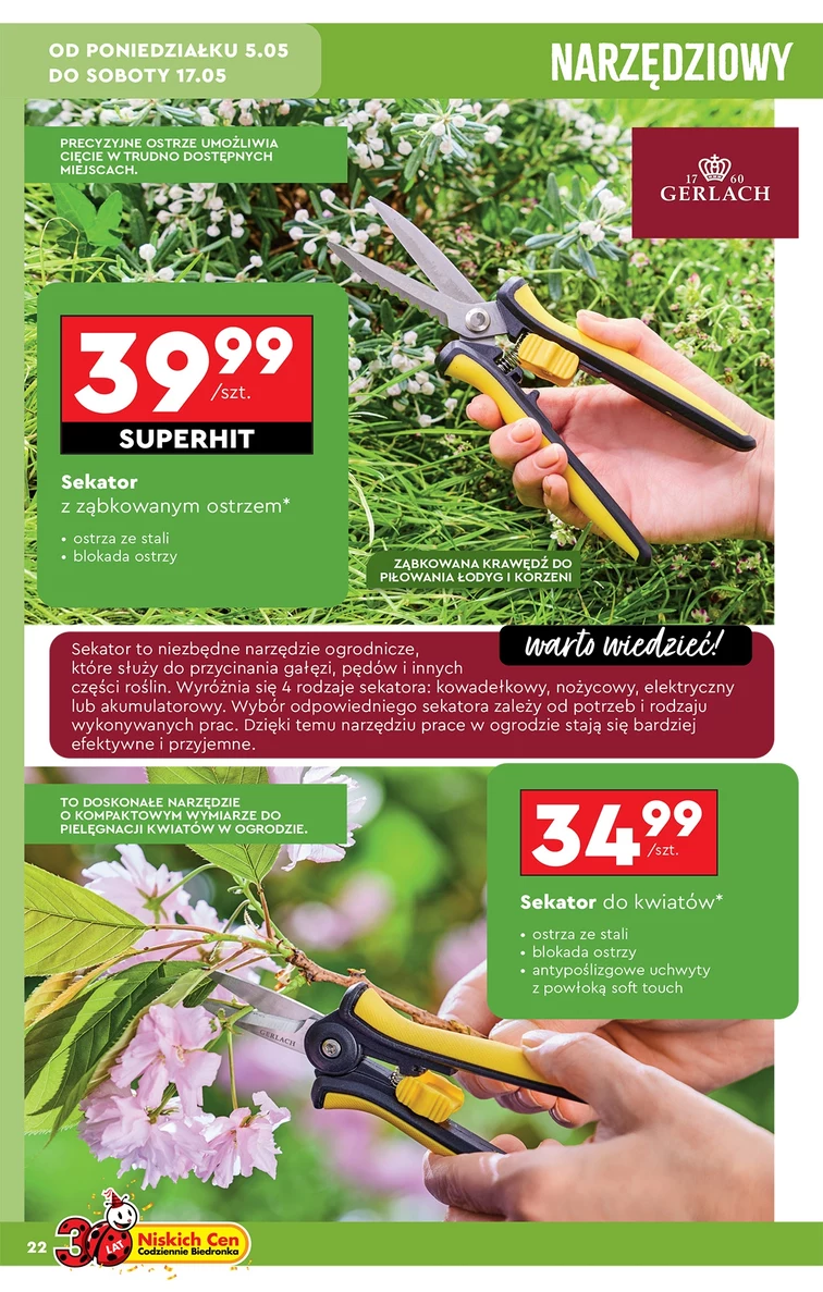 leaflet page preview image
