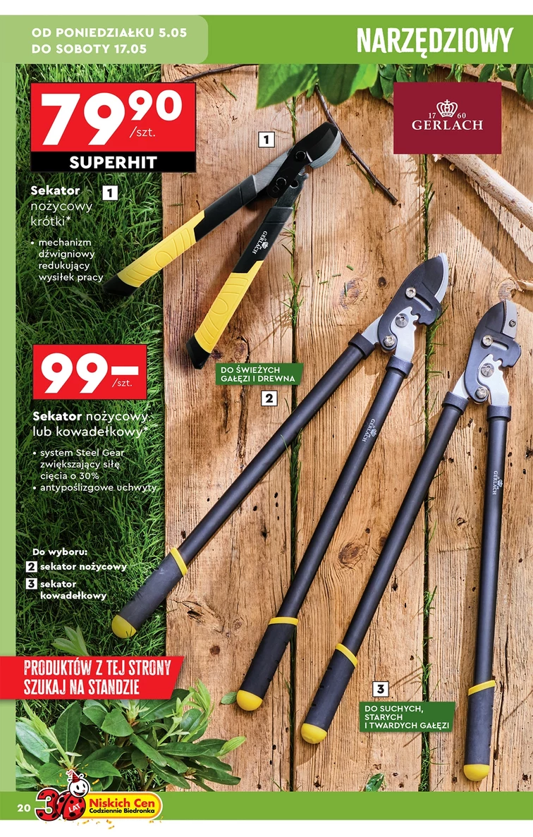 leaflet page preview image