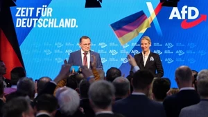 AfD na niemieckiej liście organizacji ekstremistycznych. Decyzja kontrwywiadu