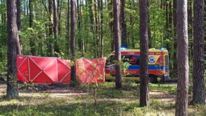 Tragiczny finał jazdy konnej. Wypadek w lesie, nie żyje 14-latka