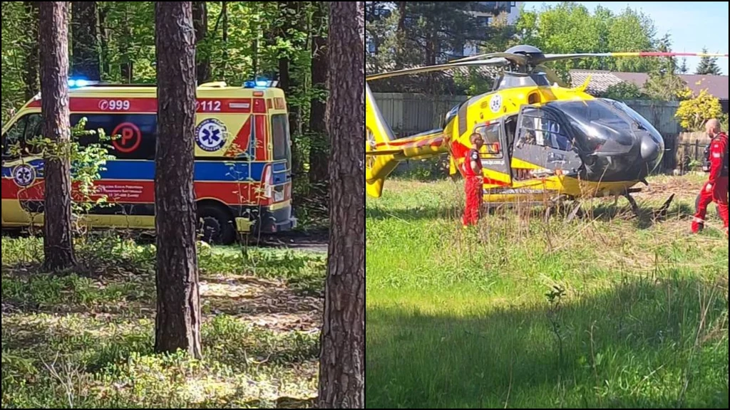 14-latka zginęła podczas jazdy konno. Tragiczny wypadek 14-latka zginęła podczas jazdy konno. Tragiczny wypadek