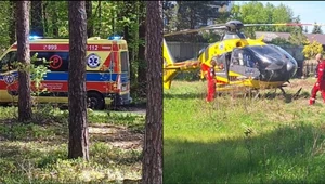 Tragiczny finał jazdy konnej. Wypadek w lesie, nie żyje 14-latka