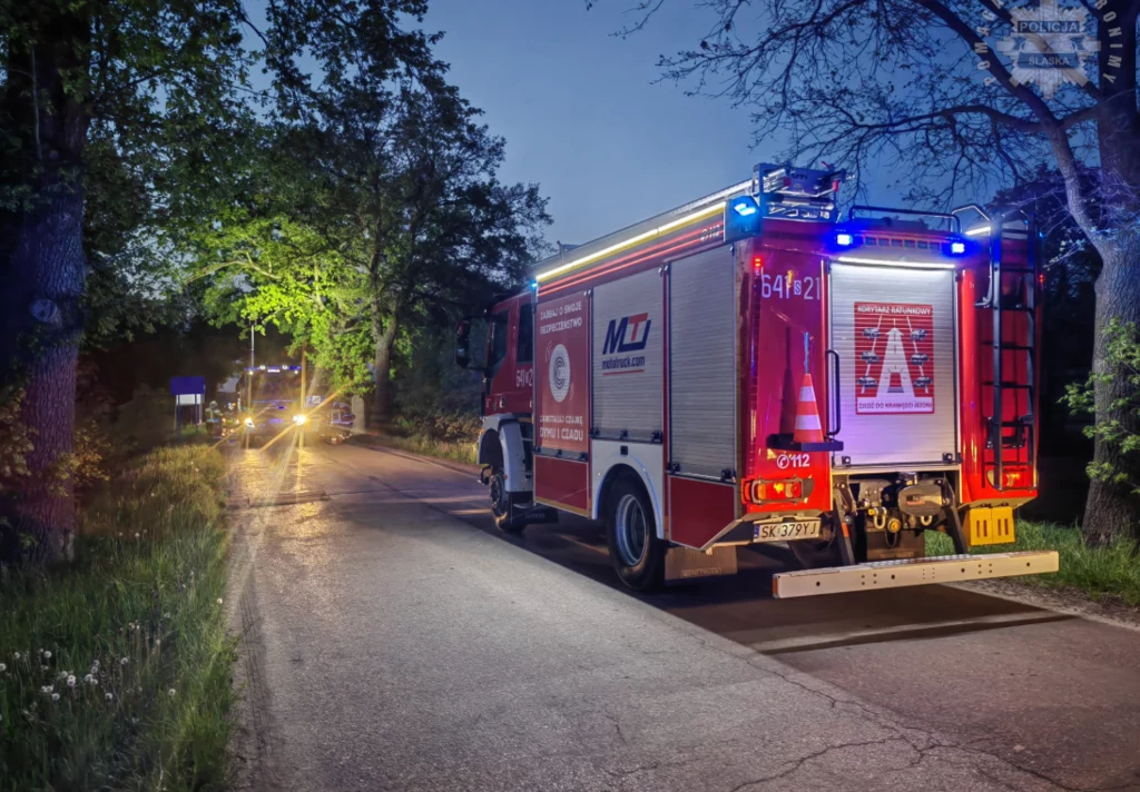 Dramatyczny wypadek na Śląsku. Samochód stanął w płomieniach, nie żyje kierowca Dramatyczny wypadek na Śląsku. Samochód stanął w płomieniach, nie żyje kierowca