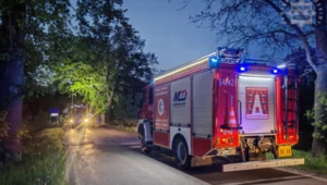 Kierowca spłonął w samochodzie. Dramatyczny wypadek w Tychach