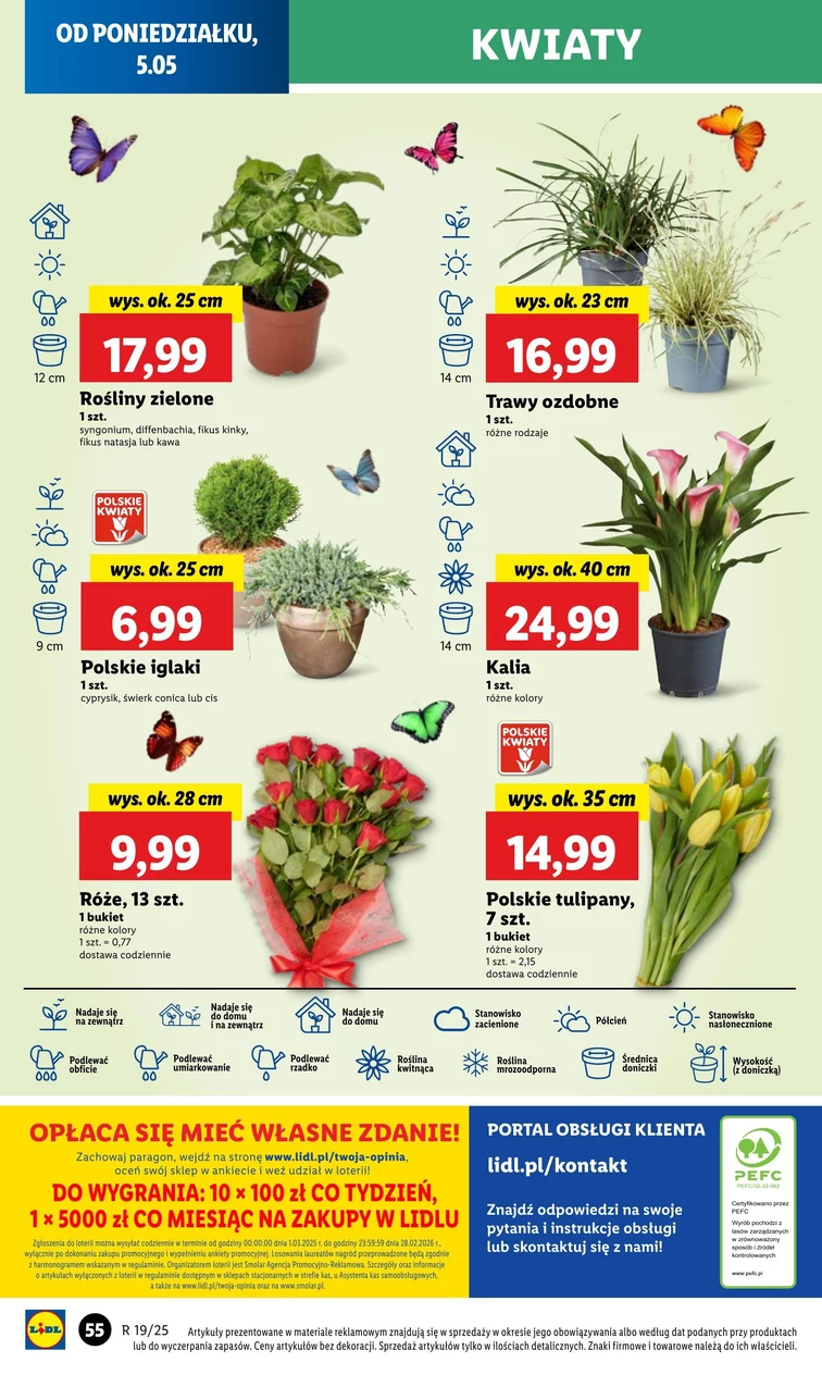 leaflet page preview image