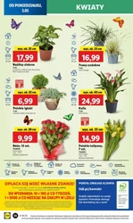 Jakość i niska cena! - Lidl
