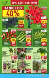 Super okazje do -90% - Aldi