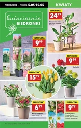 Hity cenowe od poniedziałku – Biedronka