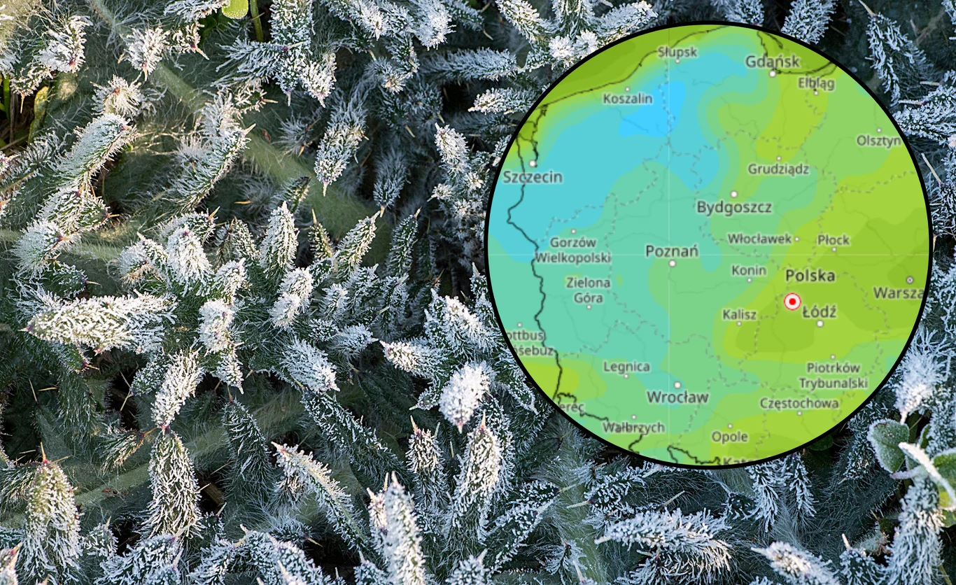 Zmiana w pogodzie. Idzie mocne ochłodzenie article cover