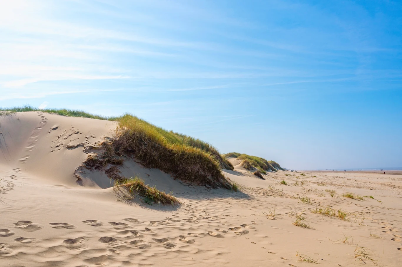 Gdzie zobaczyć wydmy w Polsce? Szeroka plaża z miękkim piaskiem i wydmami porośniętymi trawą, widoczne ślady stóp. Błękitne niebo z delikatnymi chmurami na horyzoncie.