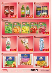 Szeroki wybór, niskie ceny! - Astra