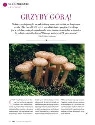Sztuka celebrowania życia -Hebe