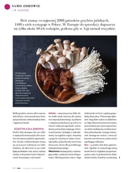 Sztuka celebrowania życia -Hebe