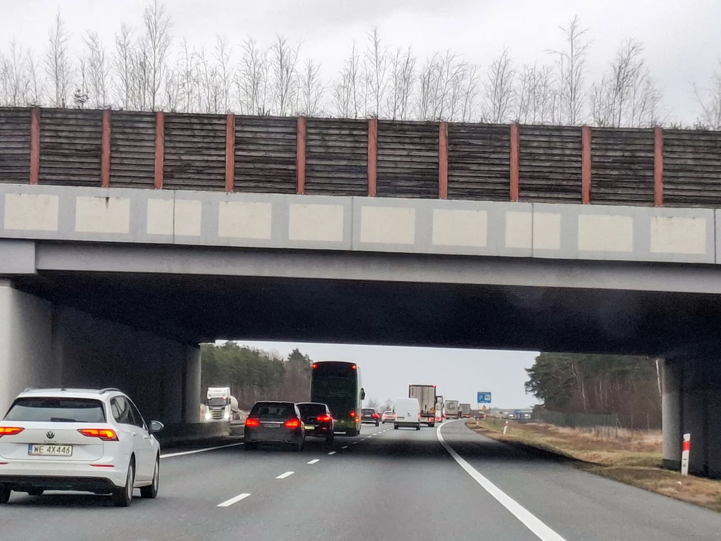 Przejście dla zwierząt nad autostradą A2