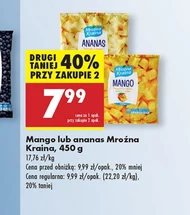 Ananas Mroźna Kraina