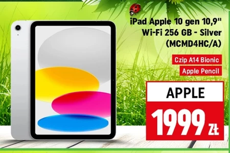 Ipad Apple
