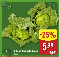 Kapusta młoda