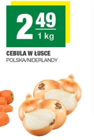 Cebula
