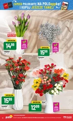 Soczyste hity tygodnia - Polomarket