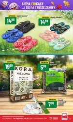 Soczyste hity tygodnia - Polomarket