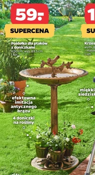 Поїлка для птахів