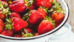 Sezon na truskawki zaczyna się zazwyczaj w maju i trwa do końca lipca
