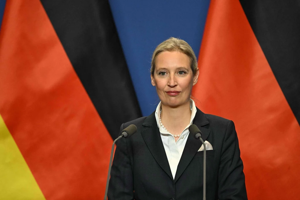 Alice Elisabeth Weidel - szefowa AfD Alice Elisabeth Weidel - szefowa AfD