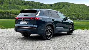 Volkswagen Tayron z silnikiem Diesla. Ma 7 miejsc i pali mniej niż osobówka