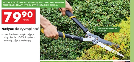 Nożyce do żywołpłotu Gerlach