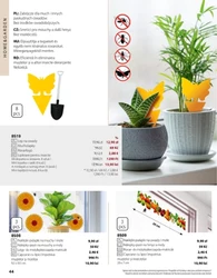 BetterStyle - katalog maj 2025