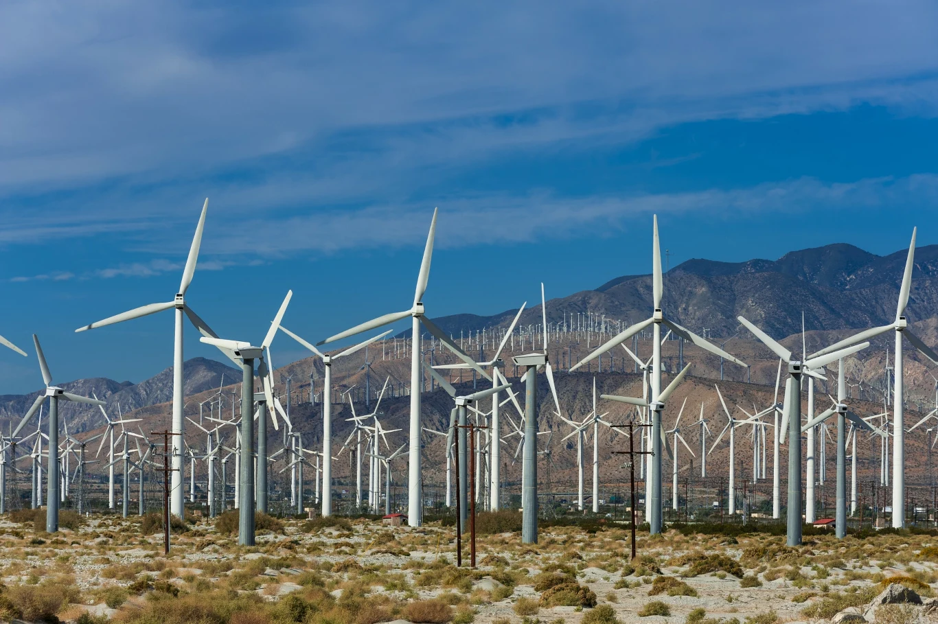 Farma wiatrowa z wieloma turbinami wiatrowymi na tle gór. Liczne turbiny ustawione są w rzędach, a krajobraz dopełniają suche rośliny i błękitne niebo.