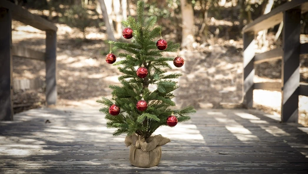 Mała choinka udekorowana czerwonymi bombkami na drewnianym moście w otoczeniu drzewa.