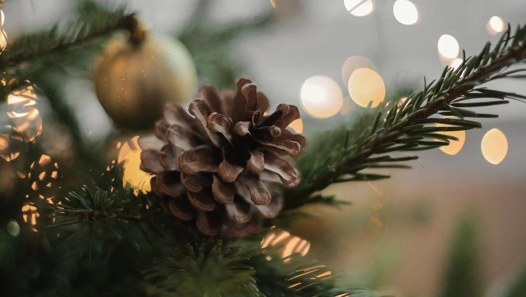 Szyszka na gałązce choinki ozdobiona światełkami, w tle rozmyte światełka dodające świątecznego klimatu.