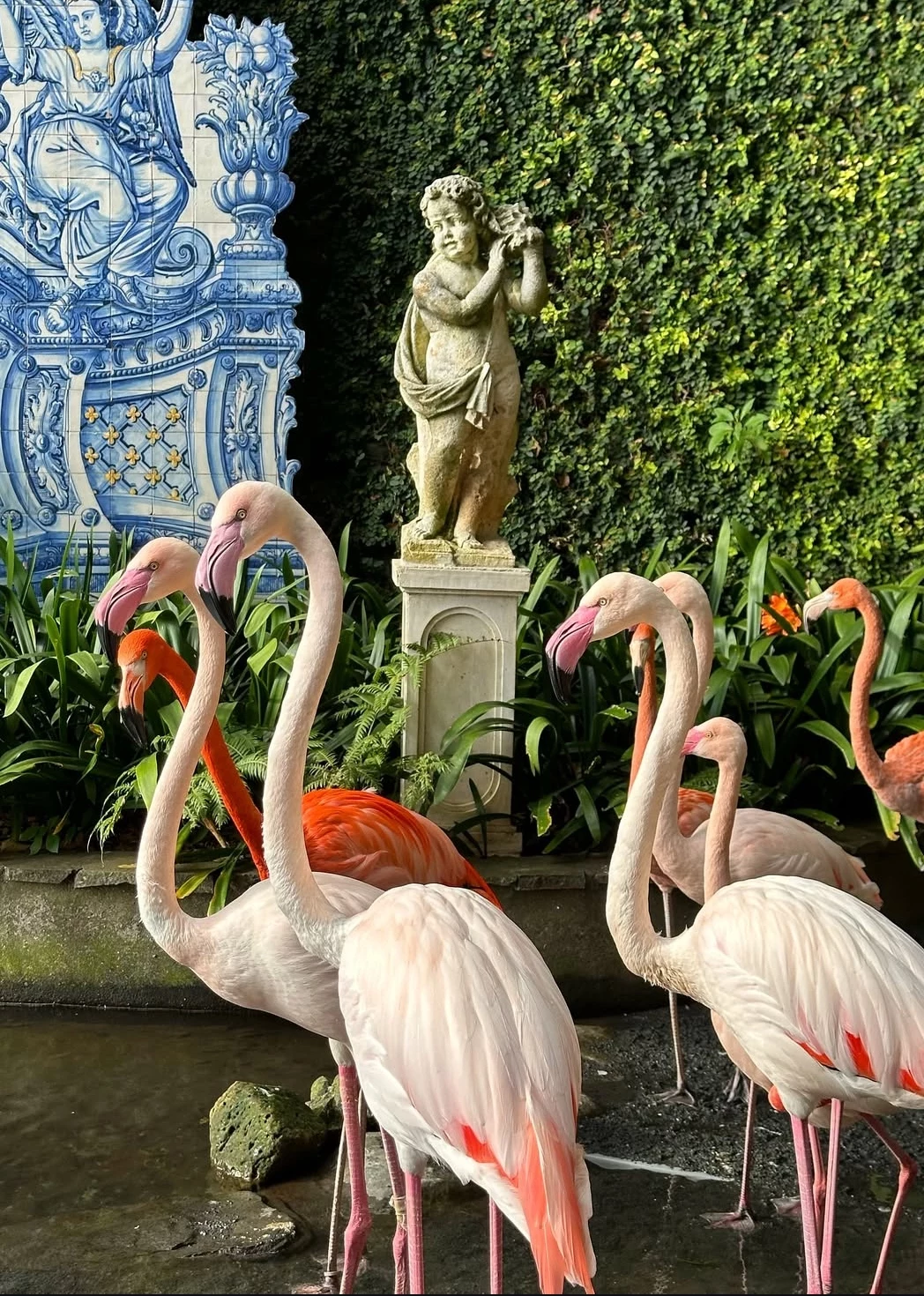 Ogród botaniczny na górze Monte, Funchal Flamingi stojące w fontannie, otoczone bujną zielenią. W tle znajduje się ozdobna rzeźba i niebieska, ozdobna płytka ceramiczna na ścianie.