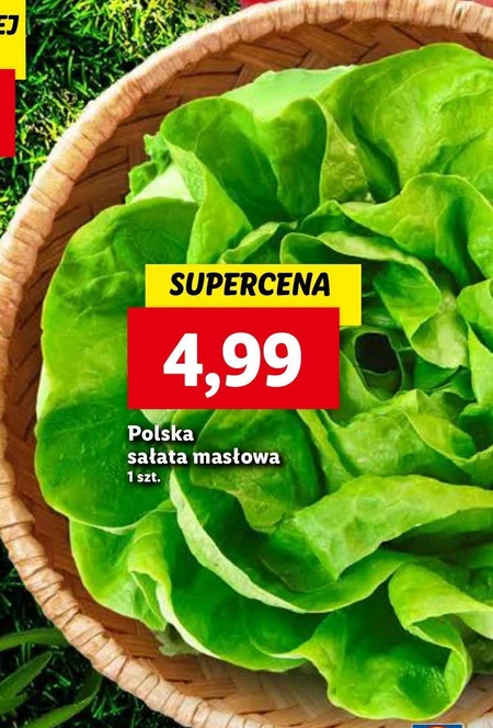 Масляний салат