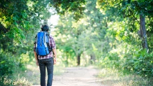 Sprawdził, ile kleszczy złapie podczas spaceru. "Wyniki są przerażające"