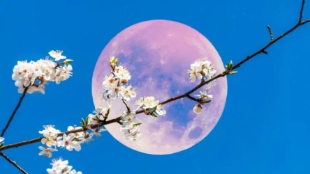 Kwiatowa pełnia w Skorpionie to czas intensywnych emocji /CanvaPro