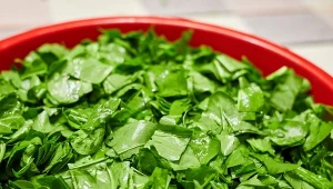 Szczaw fenomenalnie sprawdza się do sałatek, makaronów czy zup