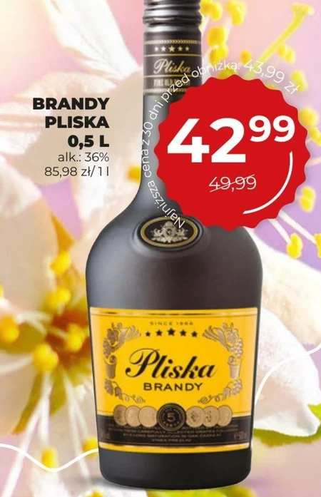 Brandy Pliska