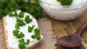 Trybula jest często stosowana w kuchni francuskiej - to bardzo zdrowa zielenina