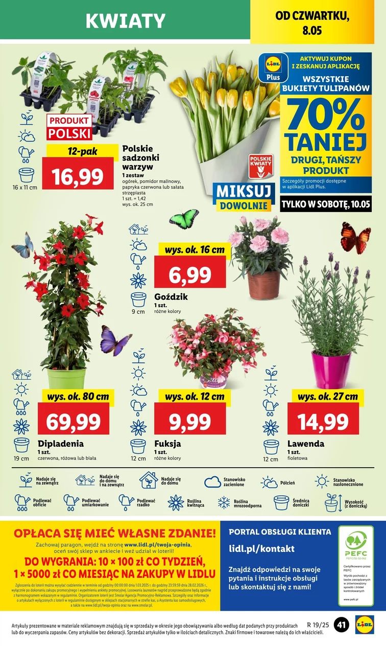 leaflet page preview image