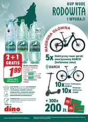 Wiosenny koszyk pełen hitów - Dino