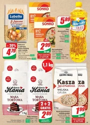 Wiosenny koszyk pełen hitów - Dino